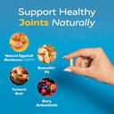 redd-remedies-joint-health-advanced-help-4.jpg