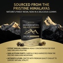vitacorehimalayan-shilajit-gummies-vitad-2.jpg