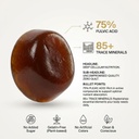vitacorehimalayan-shilajit-gummies-vitad-5.jpg