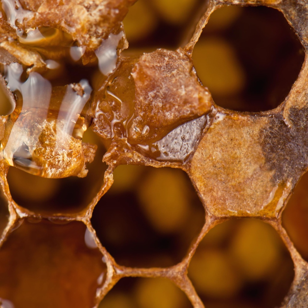 herb-pharm-propolis-liquid-herbal-extrac-6.jpg