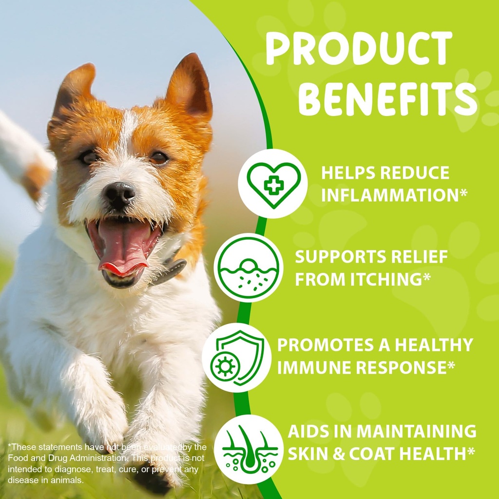 yeast-infection-treatment-for-dogs-2-fl--2.jpg