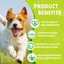 yeast-infection-treatment-for-dogs-2-fl--2.jpg