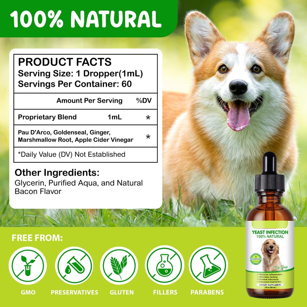 yeast-infection-treatment-for-dogs-2-fl--6.jpg