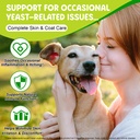 yeast-infection-treatment-for-dogs-2-fl--3.jpg
