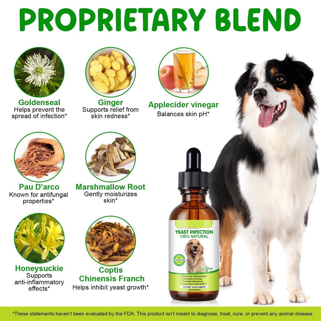 yeast-infection-treatment-for-dogs-2-fl--4.jpg