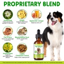 yeast-infection-treatment-for-dogs-2-fl--4.jpg