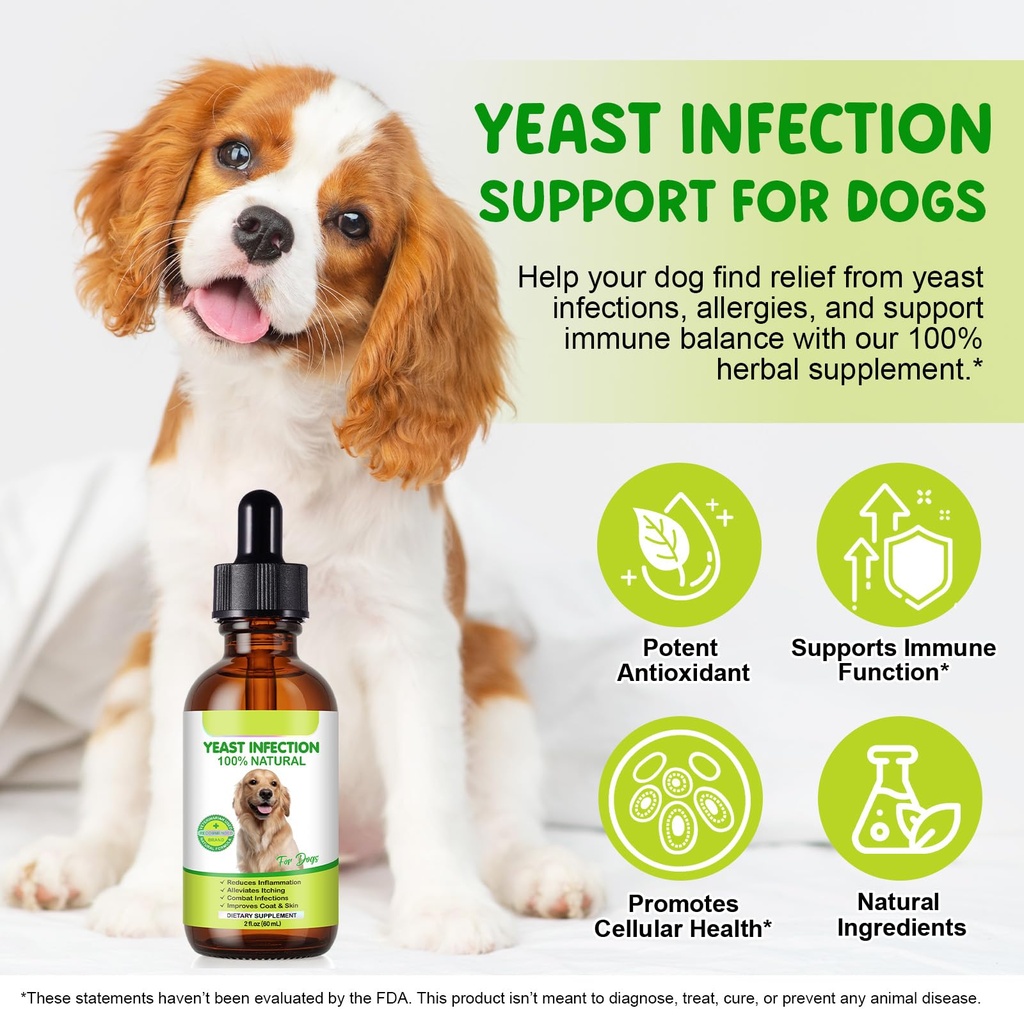 yeast-infection-treatment-for-dogs-2-fl--5.jpg