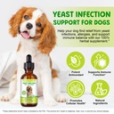 yeast-infection-treatment-for-dogs-2-fl--5.jpg