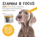 maxxipaws-maxxicardio-heart-support-for--4.jpg