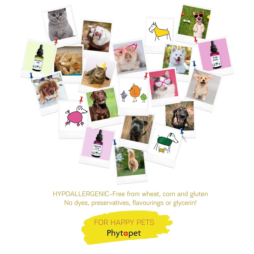 phytopet-boost-30ml-100-natural-herbal-r-6.jpg
