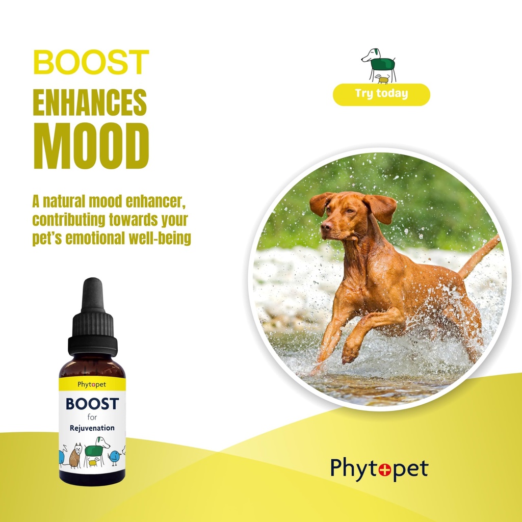 phytopet-boost-30ml-100-natural-herbal-r-2.jpg