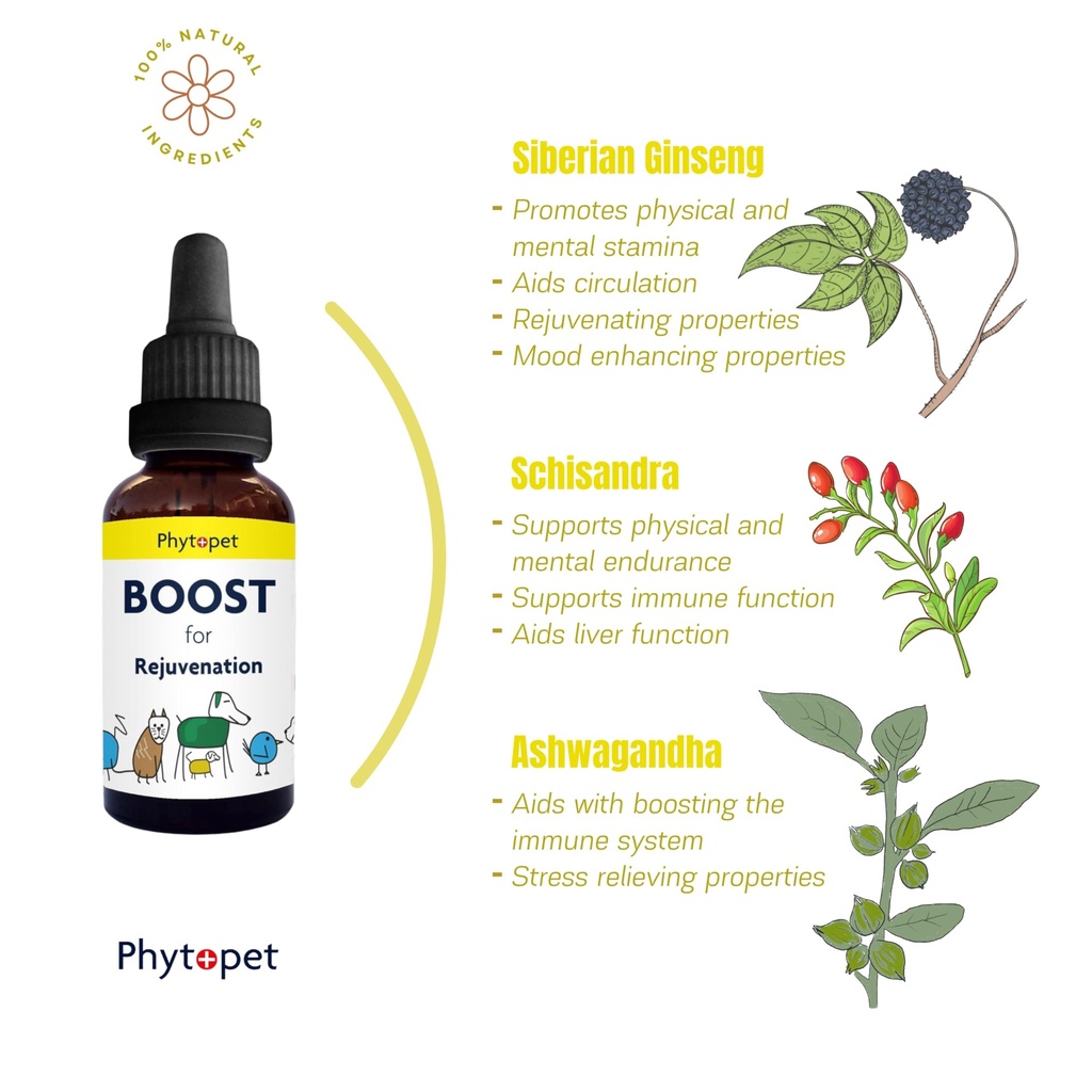 phytopet-boost-30ml-100-natural-herbal-r-4.jpg