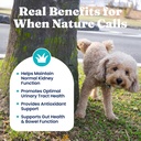 solid-gold-cranberry-supplement-for-dogs-2.jpg