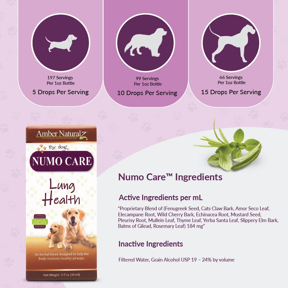 amber-naturalz-numo-care-respiratory-sup-4.jpg