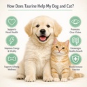pawvita-taurine-powder-for-dogs-cats-hea-2.jpg