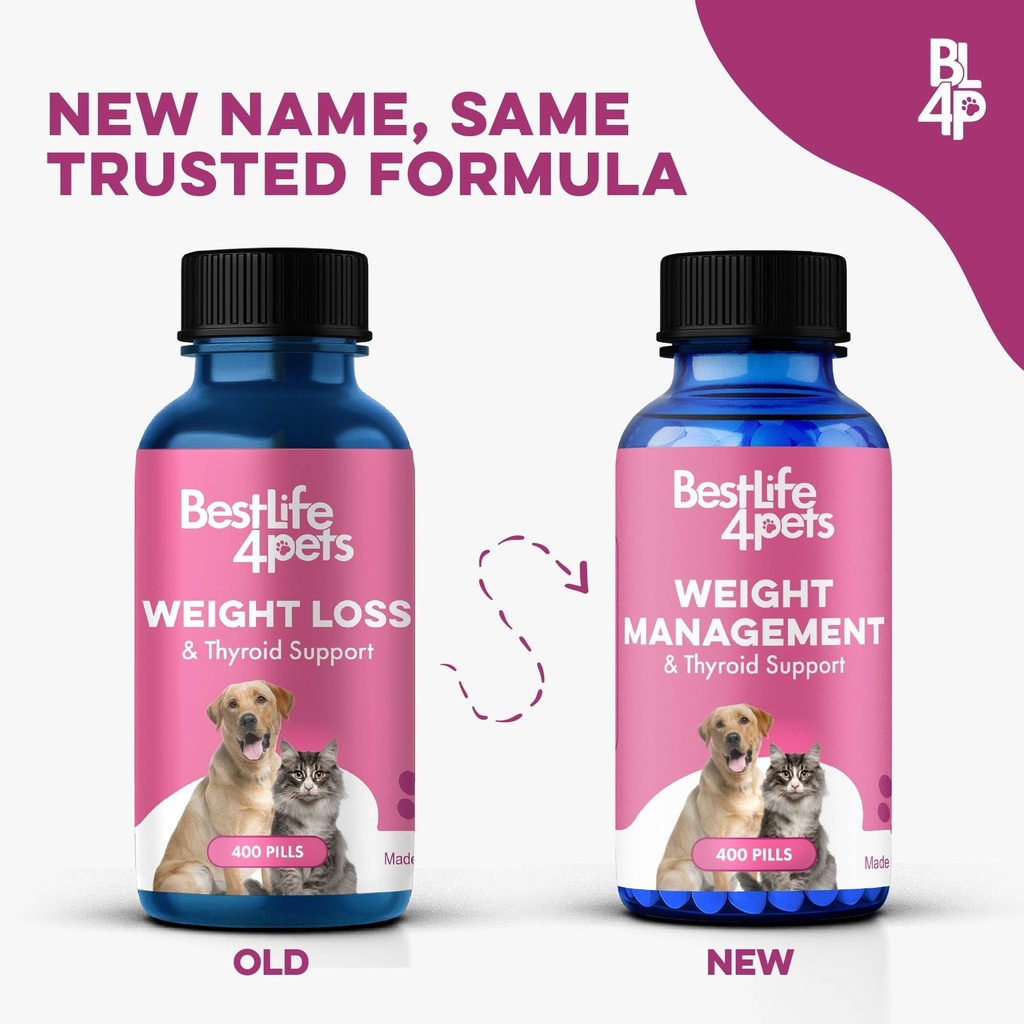 weight-loss-for-dogs-and-cats-natural-th-2.jpg