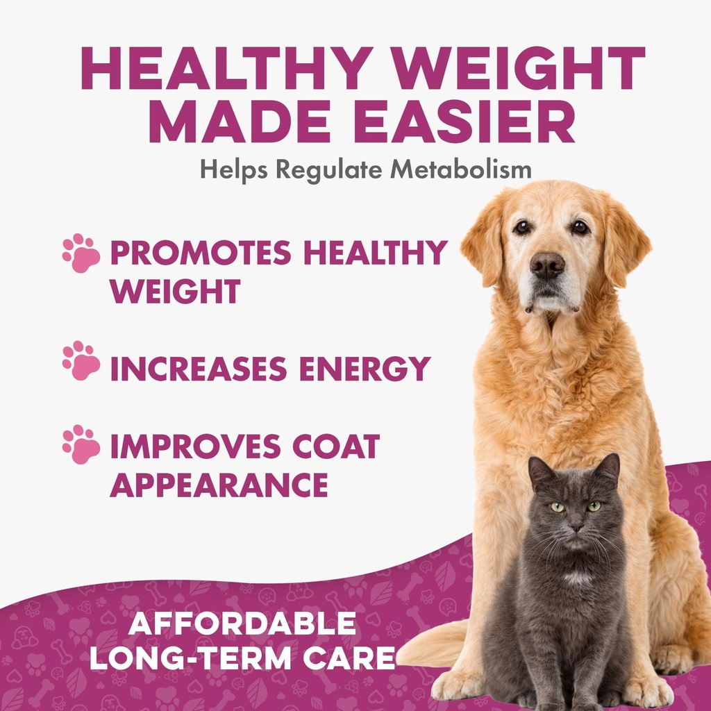 weight-loss-for-dogs-and-cats-natural-th-3.jpg