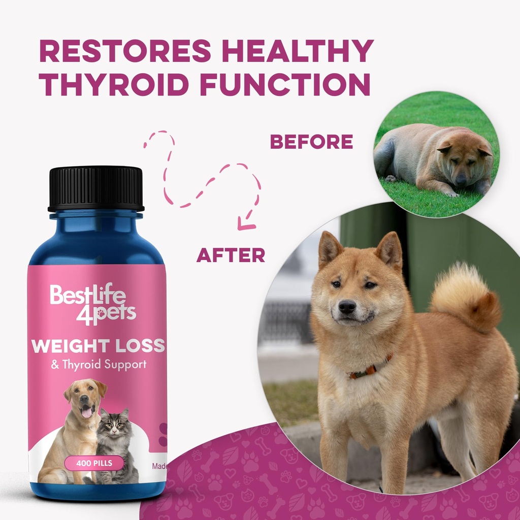 weight-loss-for-dogs-and-cats-natural-th-4.jpg