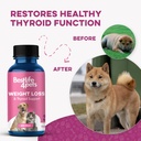 weight-loss-for-dogs-and-cats-natural-th-4.jpg