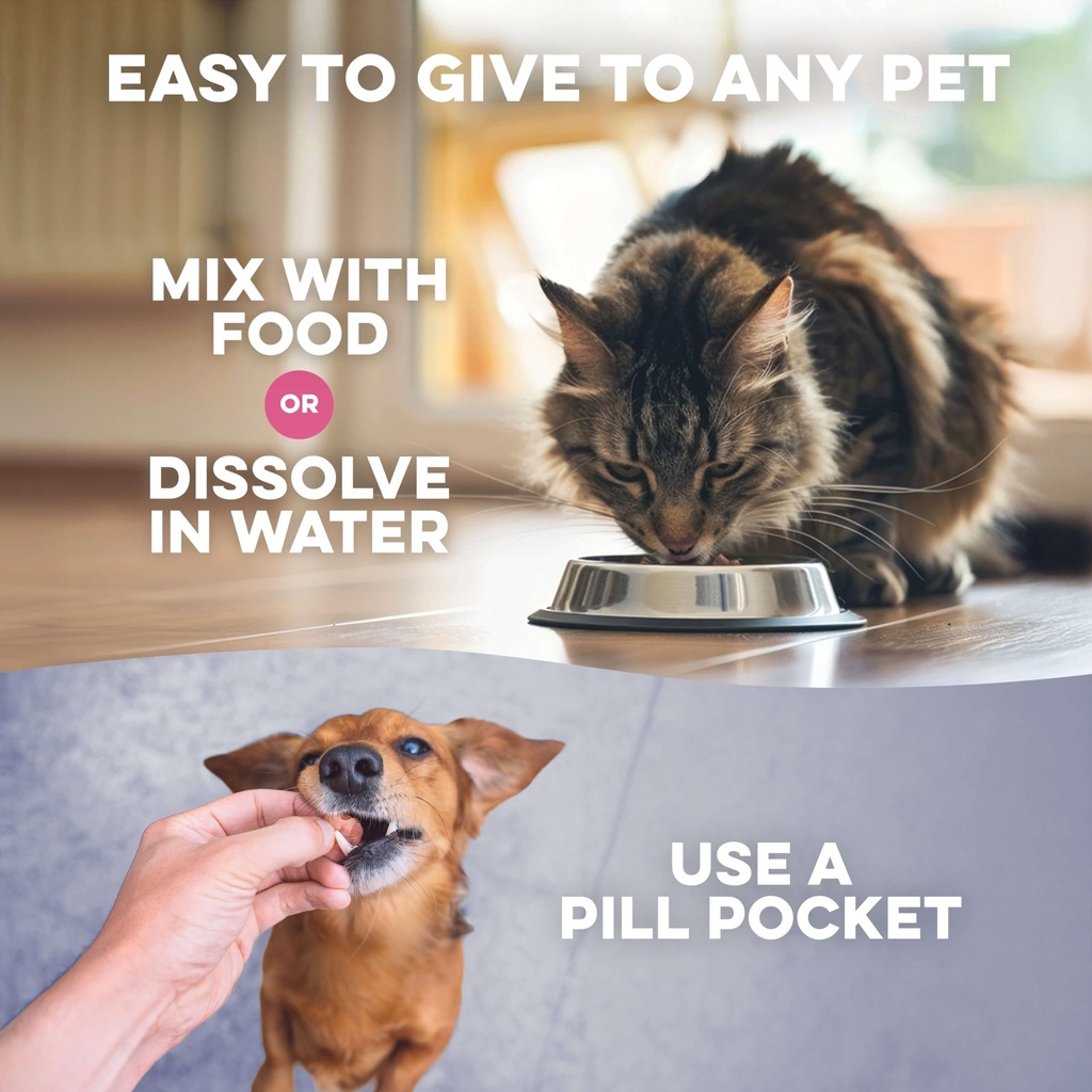 weight-loss-for-dogs-and-cats-natural-th-6.jpg