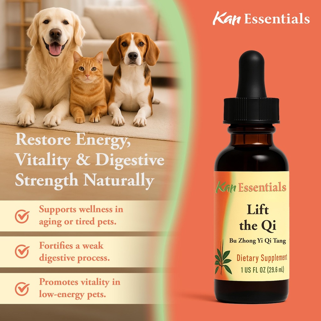 kan-herb-company-lift-the-qi-traditional-5.jpg