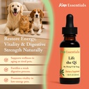 kan-herb-company-lift-the-qi-traditional-5.jpg
