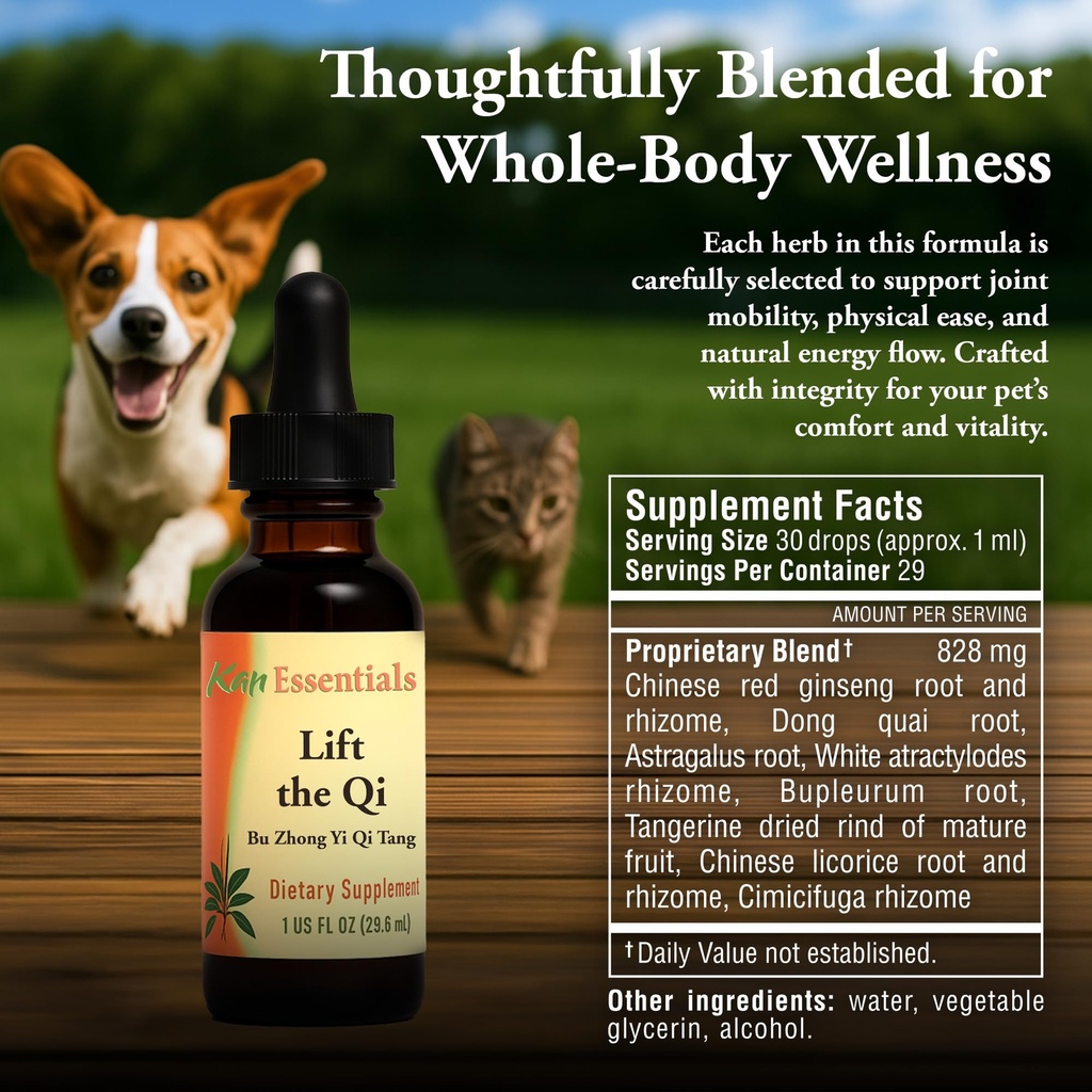 kan-herb-company-lift-the-qi-traditional-3.jpg