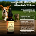 kan-herb-company-lift-the-qi-traditional-3.jpg