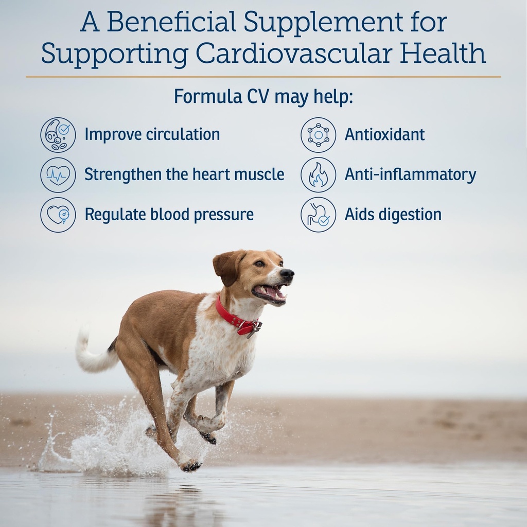 rx-vitamins-formula-cv-hawthorn-berry-ca-4.jpg