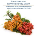 rx-vitamins-formula-cv-hawthorn-berry-ca-5.jpg
