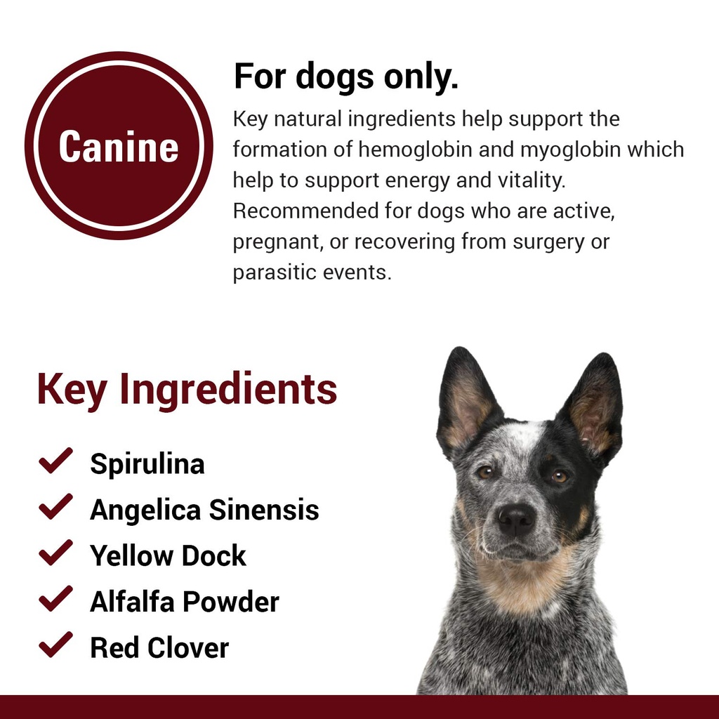 vet-classics-blood-energy-dog-supplement-5.jpg