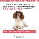 herbsmith-taurine-boost-cardiac-and-hear-2.jpg