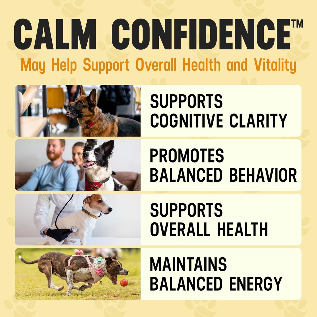 better-dog-supplements-by-cesar-millan-c-6.jpg