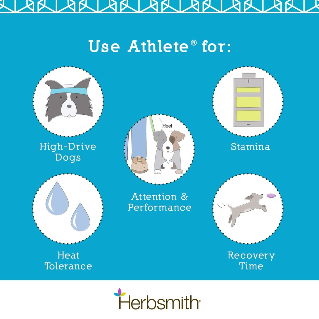 herbsmith-athlete-canine-endurance-suppl-4.jpg