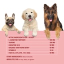 taurine-supplement-for-dogs-heart-health-6.jpg
