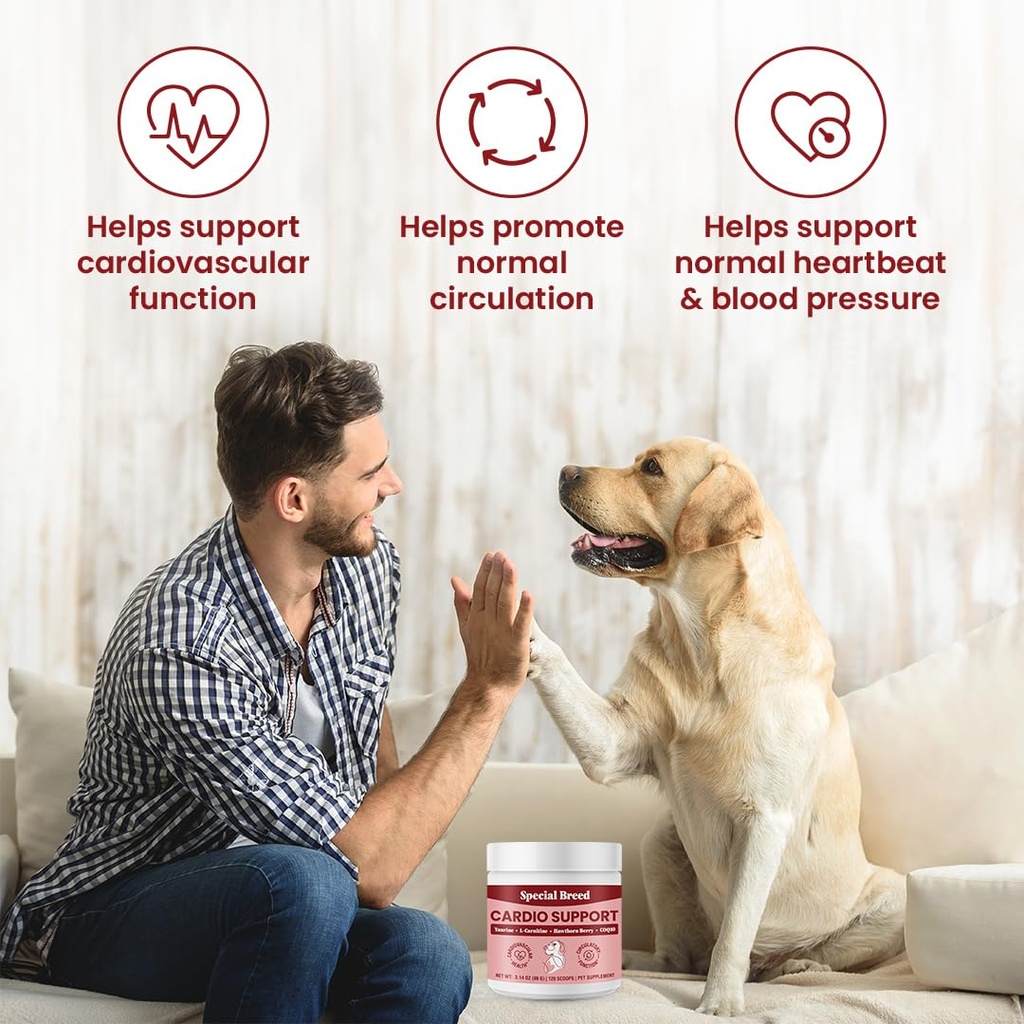 taurine-supplement-for-dogs-heart-health-3.jpg