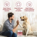 taurine-supplement-for-dogs-heart-health-3.jpg