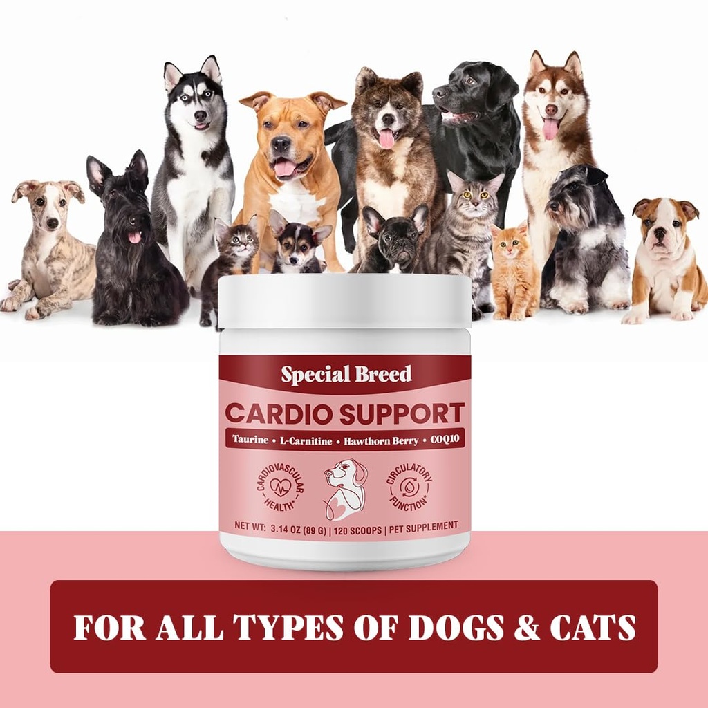 taurine-supplement-for-dogs-heart-health-5.jpg