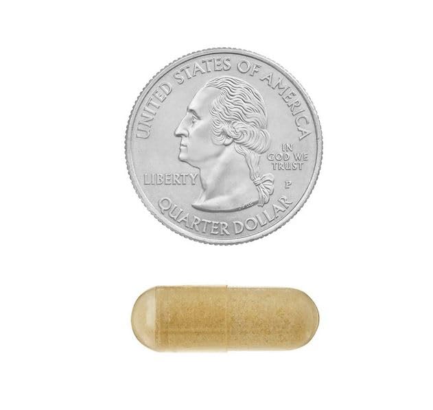 spring-valley-nac-1-000-mg-vegetarian-ca-4.jpg