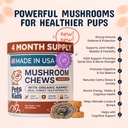 pets-are-kids-turkey-tail-mushroom-for-d-2.jpg