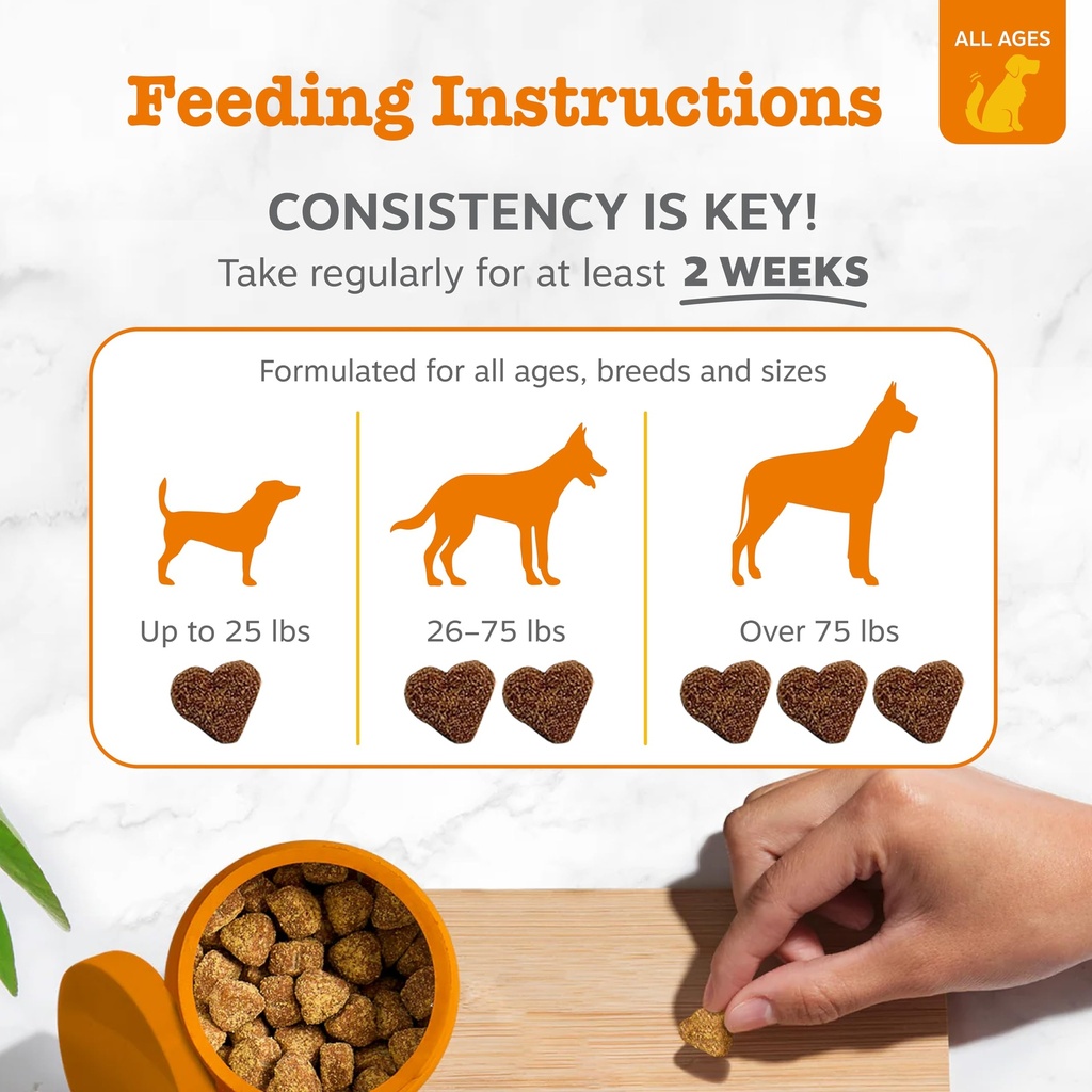 zesty-paws-probiotics-for-dogs-digestive-4.jpg