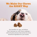 zesty-paws-probiotics-for-dogs-digestive-6.jpg