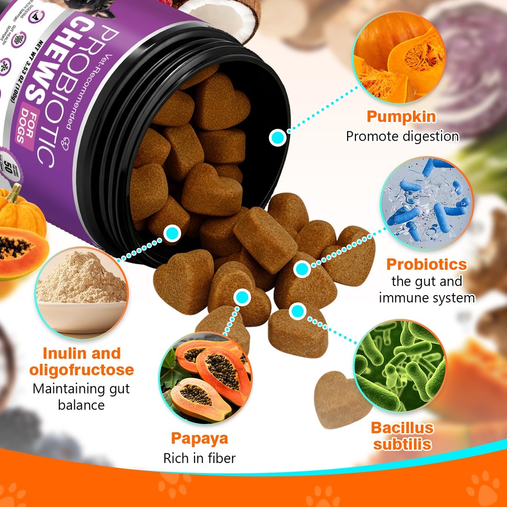 probiotics-for-dogs-dog-probiotics-for-d-5.jpg