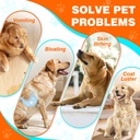 probiotics-for-dogs-dog-probiotics-for-d-6.jpg