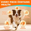 probiotics-for-dogs-dog-probiotics-for-d-2.jpg
