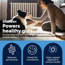 vetnique-glandex-dog-probiotic-chews-dai-2.jpg