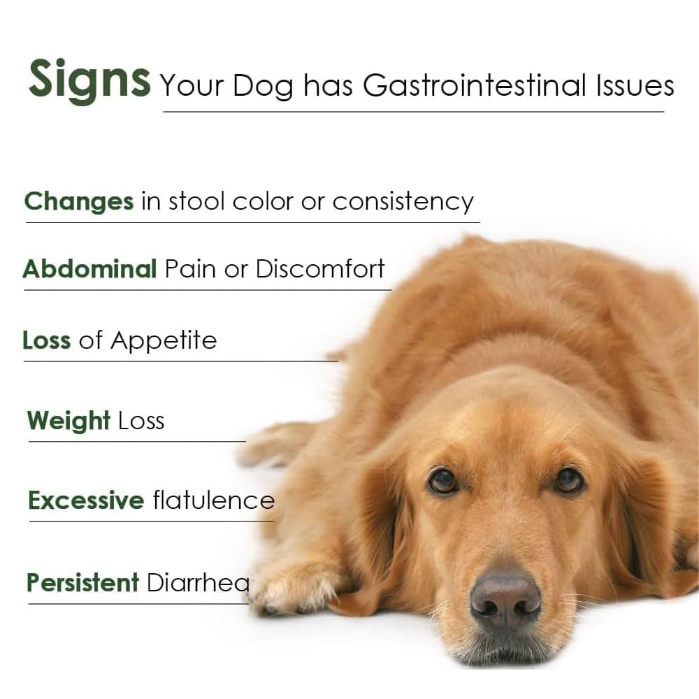 daily-probiotics-and-prebiotics-for-dogs-4.jpg