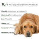 daily-probiotics-and-prebiotics-for-dogs-4.jpg