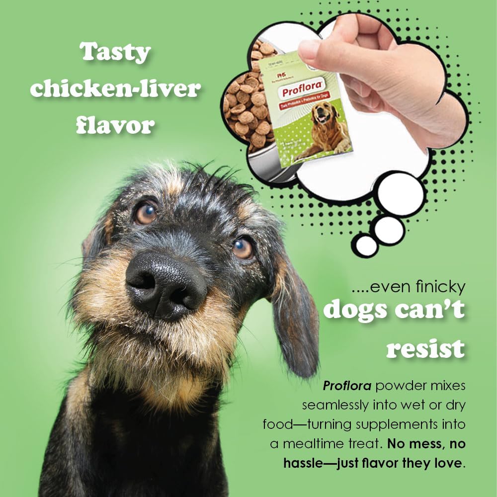 daily-probiotics-and-prebiotics-for-dogs-6.jpg