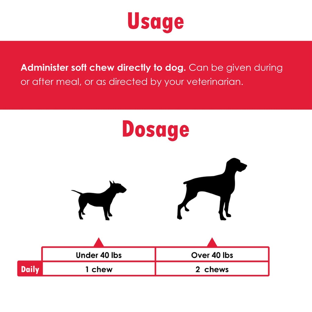 proflora-probiotic-soft-chews-for-dogs-v-4.jpg